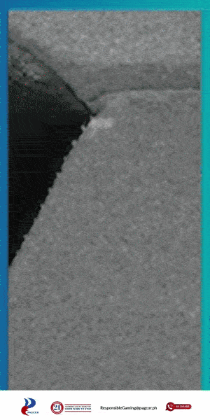 300x600 300x600